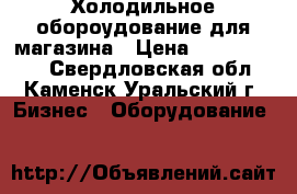 Холодильное обороудование для магазина › Цена ­ 2500-10000 - Свердловская обл., Каменск-Уральский г. Бизнес » Оборудование   